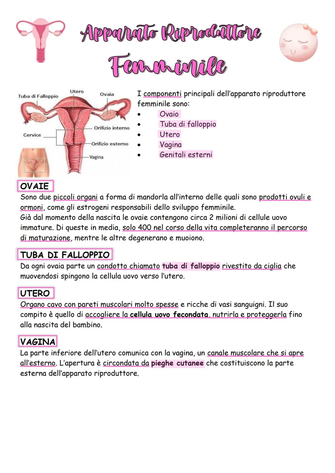 La Riproduzione
Gli esseri viventi, oltre al metabolismo e al ciclo vitale, hanno anche un'altra
caratteristica fondamentale che li distingu