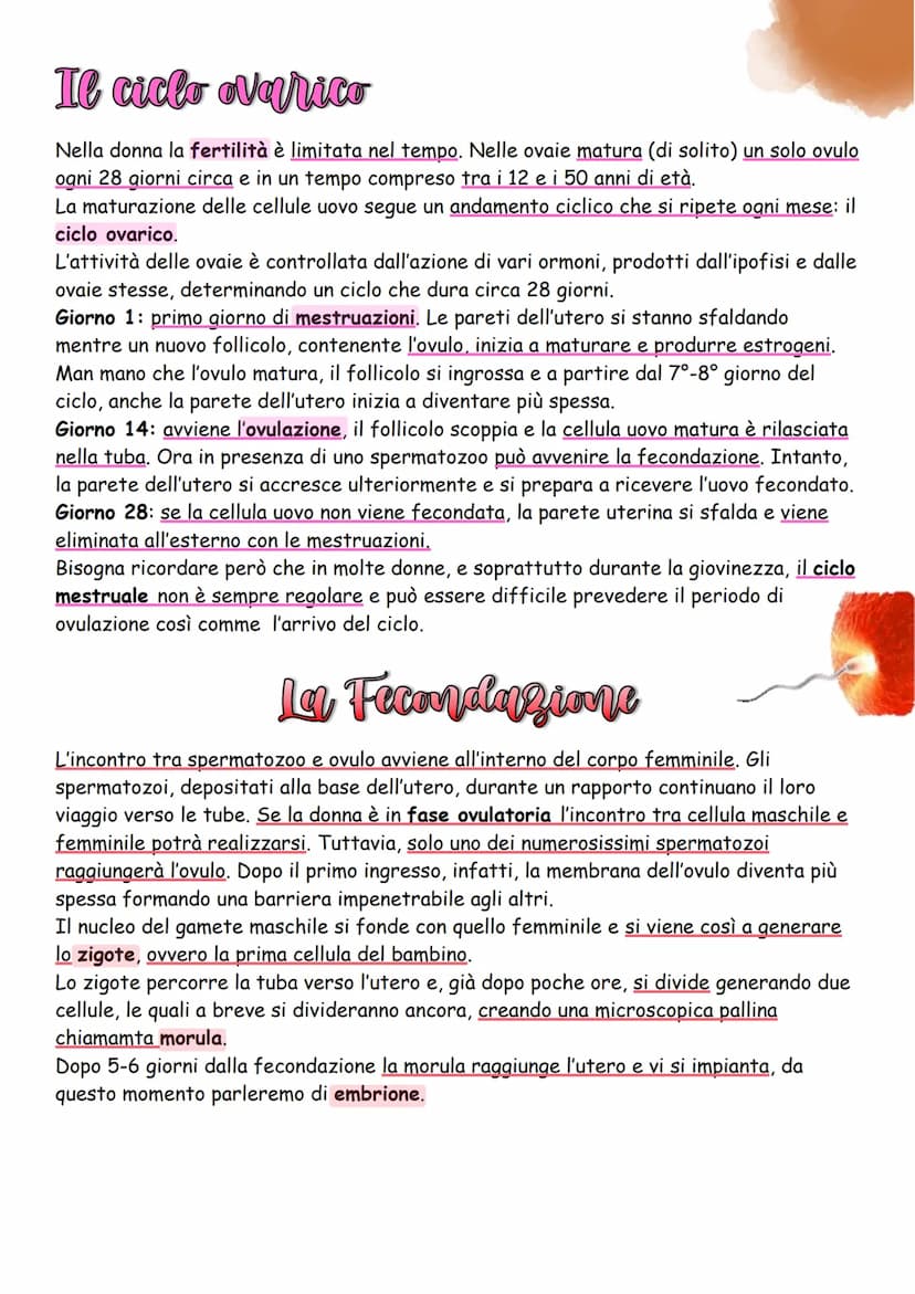 La Riproduzione
Gli esseri viventi, oltre al metabolismo e al ciclo vitale, hanno anche un'altra
caratteristica fondamentale che li distingu