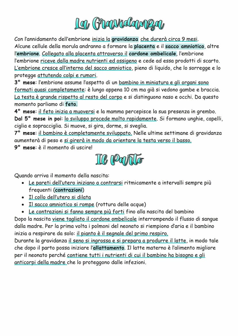 La Riproduzione
Gli esseri viventi, oltre al metabolismo e al ciclo vitale, hanno anche un'altra
caratteristica fondamentale che li distingu