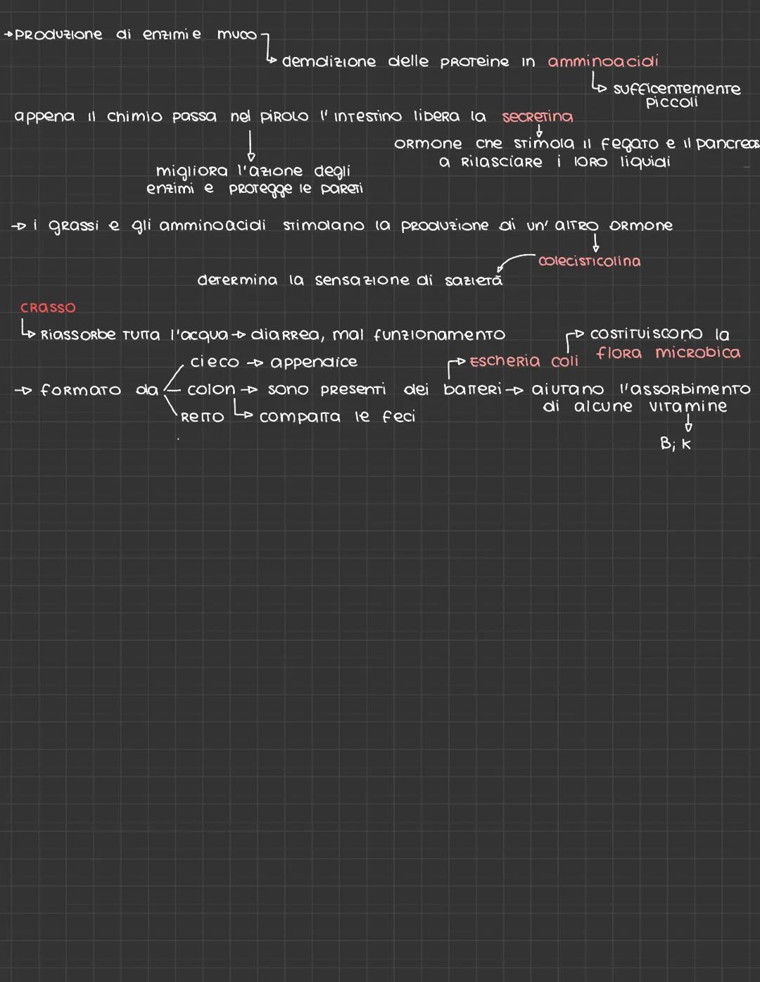 # EMMA BOTICI

# Apparato digerente
4C

→ ha la funzione di masticazione, secrezione, mescolamento, digestione,
assorbimento ed eliminazione