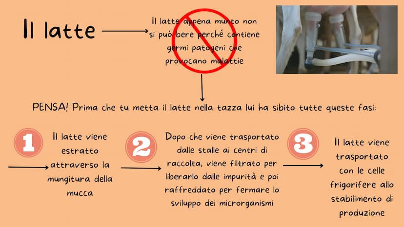 -M-N-
I derivati del latte
Il burro e il formaggio
Nicole Dafne Licata
---
** Il latte
1
PENSA! Prima che tu metta il latte nella tazza lui 