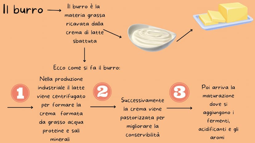 -M-N-
I derivati del latte
Il burro e il formaggio
Nicole Dafne Licata
---
** Il latte
1
PENSA! Prima che tu metta il latte nella tazza lui 