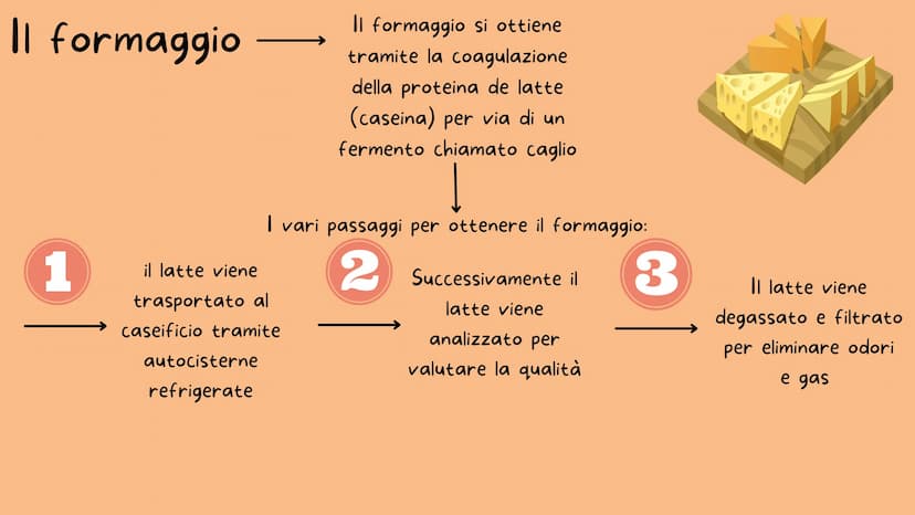 -M-N-
I derivati del latte
Il burro e il formaggio
Nicole Dafne Licata
---
** Il latte
1
PENSA! Prima che tu metta il latte nella tazza lui 