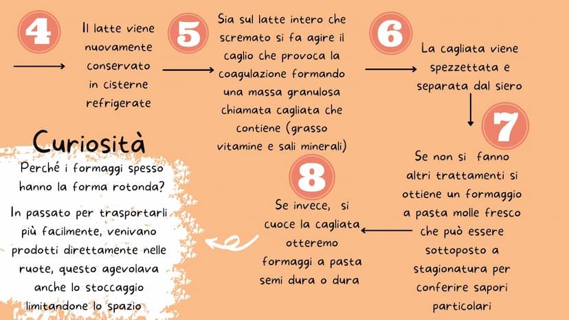 -M-N-
I derivati del latte
Il burro e il formaggio
Nicole Dafne Licata
---
** Il latte
1
PENSA! Prima che tu metta il latte nella tazza lui 