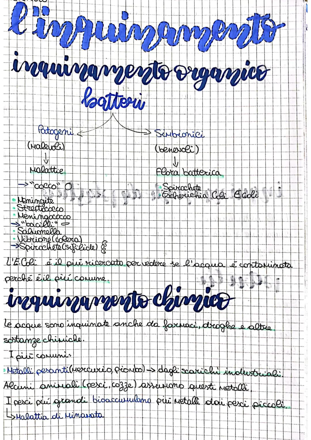 l'inquinamento
inquinamento organico
batteri
Patogeni &
(Malevoli)
↓
Malattie
→"Cocco" O
•Sembronice
(benevoli)
↓
Flora batterica
Popust o s