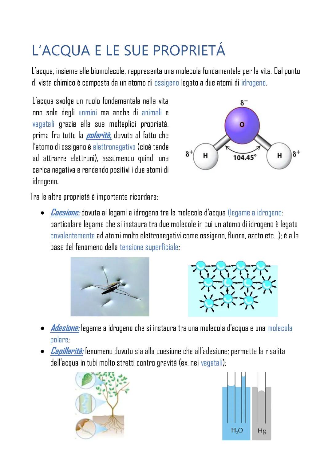 L'ACQUA E LE SUE PROPRIETA'