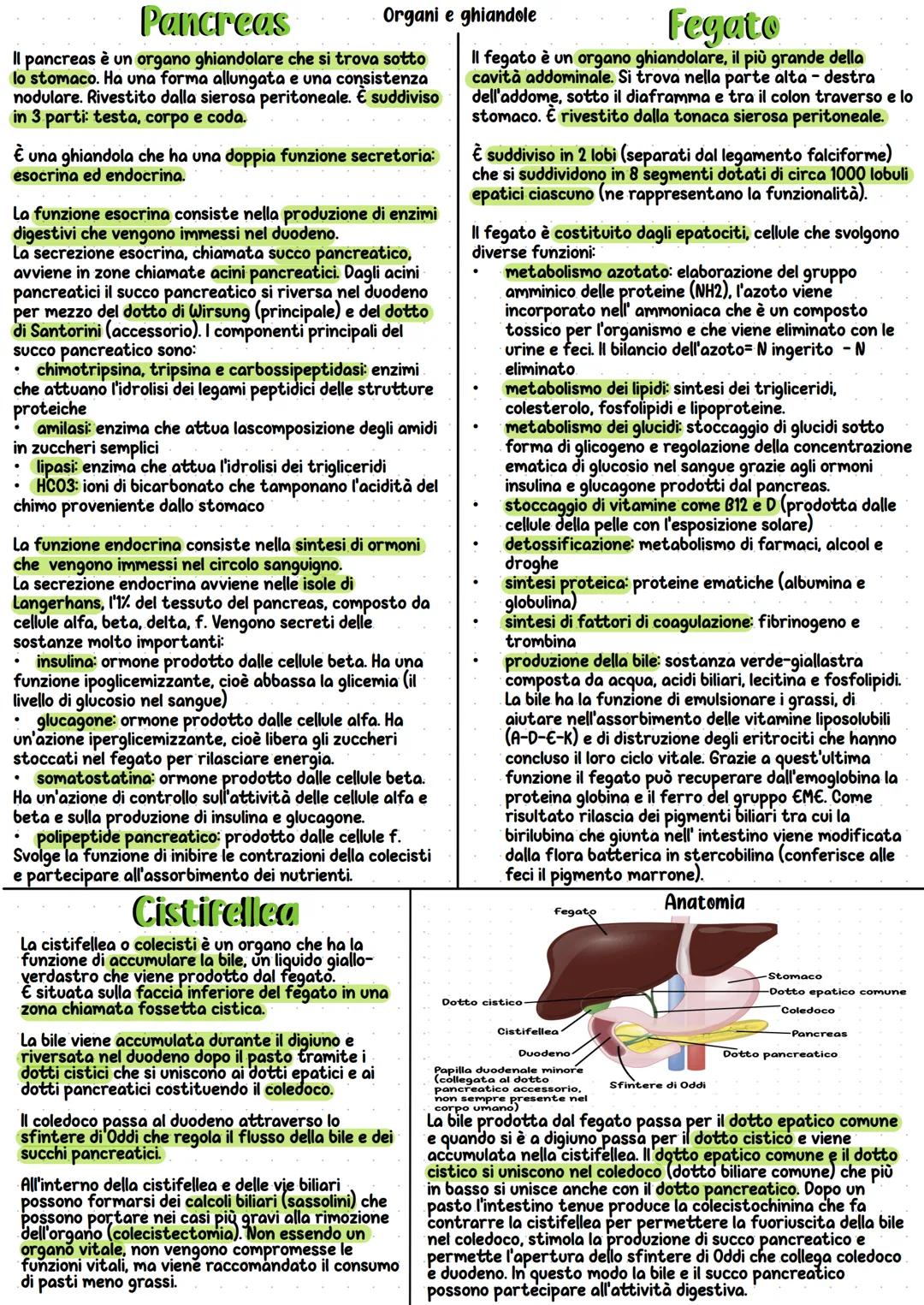 Apparato digerente
Il processo digestivo è necessario per la scomposizione
delle macromolecole dei principi nutritivi in molecole
più piccol
