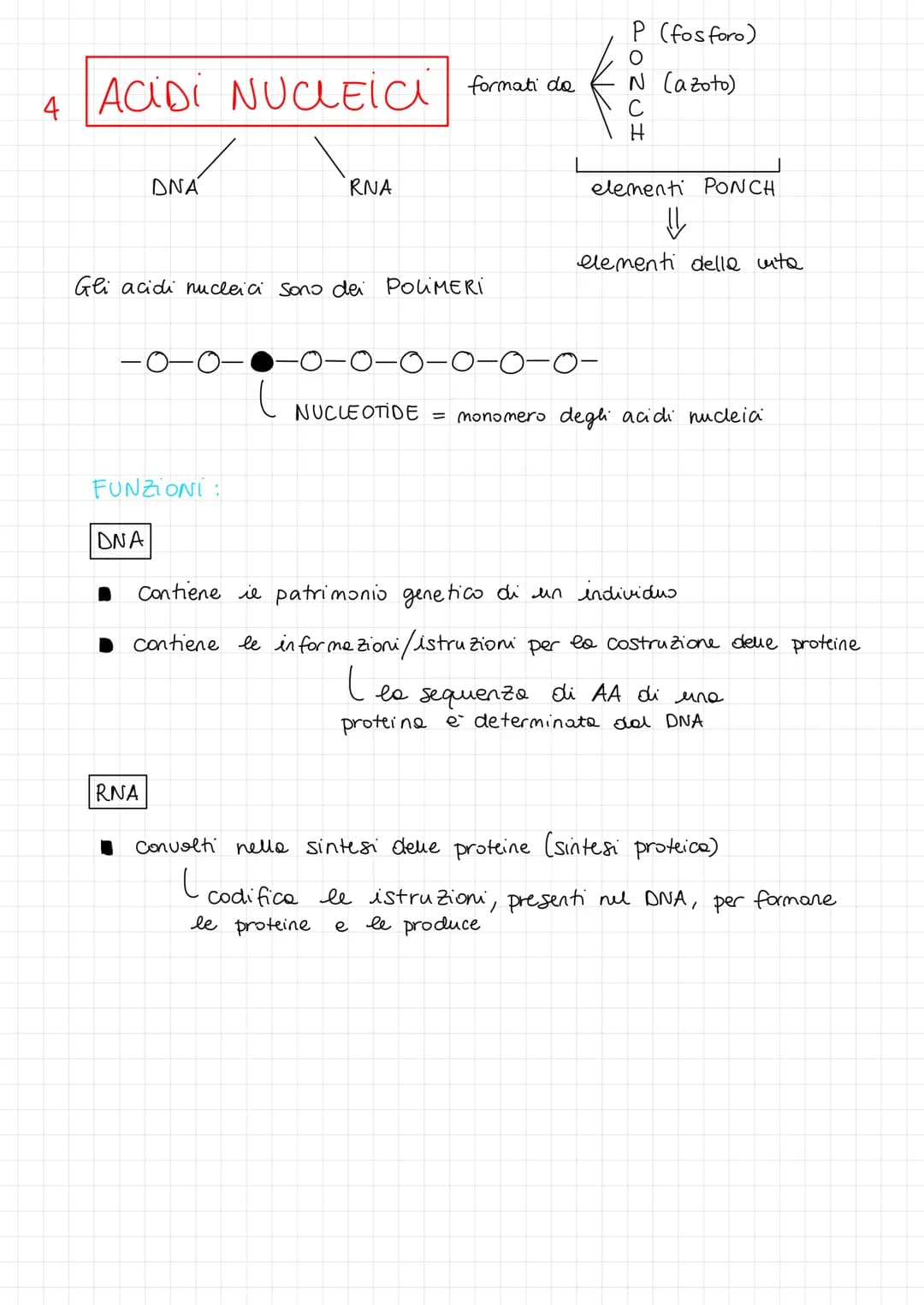 4
ACIDI NUCLEIC
DNA
-0-
Gli acidi nucleici sono dei PoliMERI
FUNZIONI:
DNA
RNA
RNA
(
formati da
P (fos foro)
N (azoto)
H
elementi PONCH
⇓
el