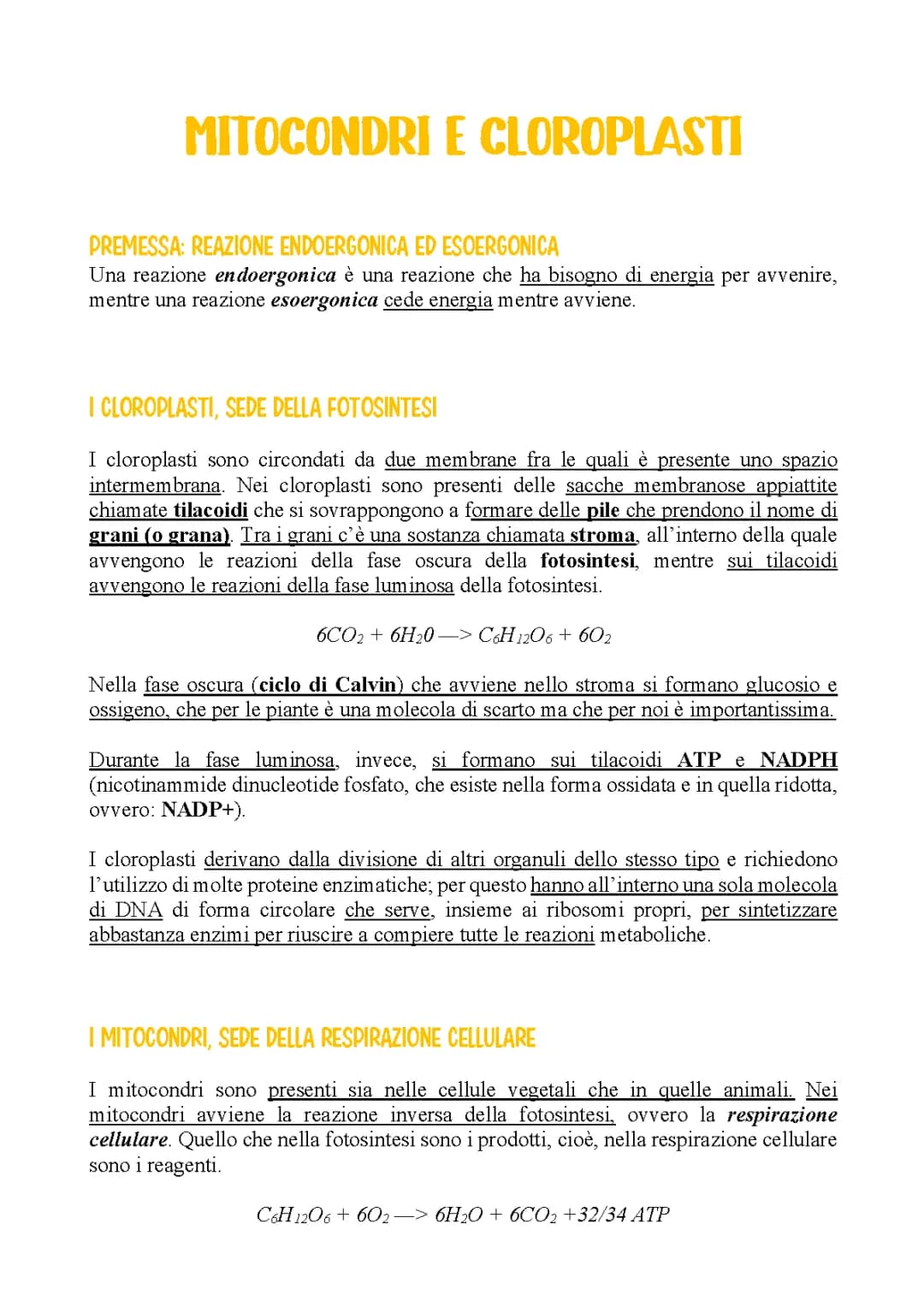 Cloroplasti e mitocondri 