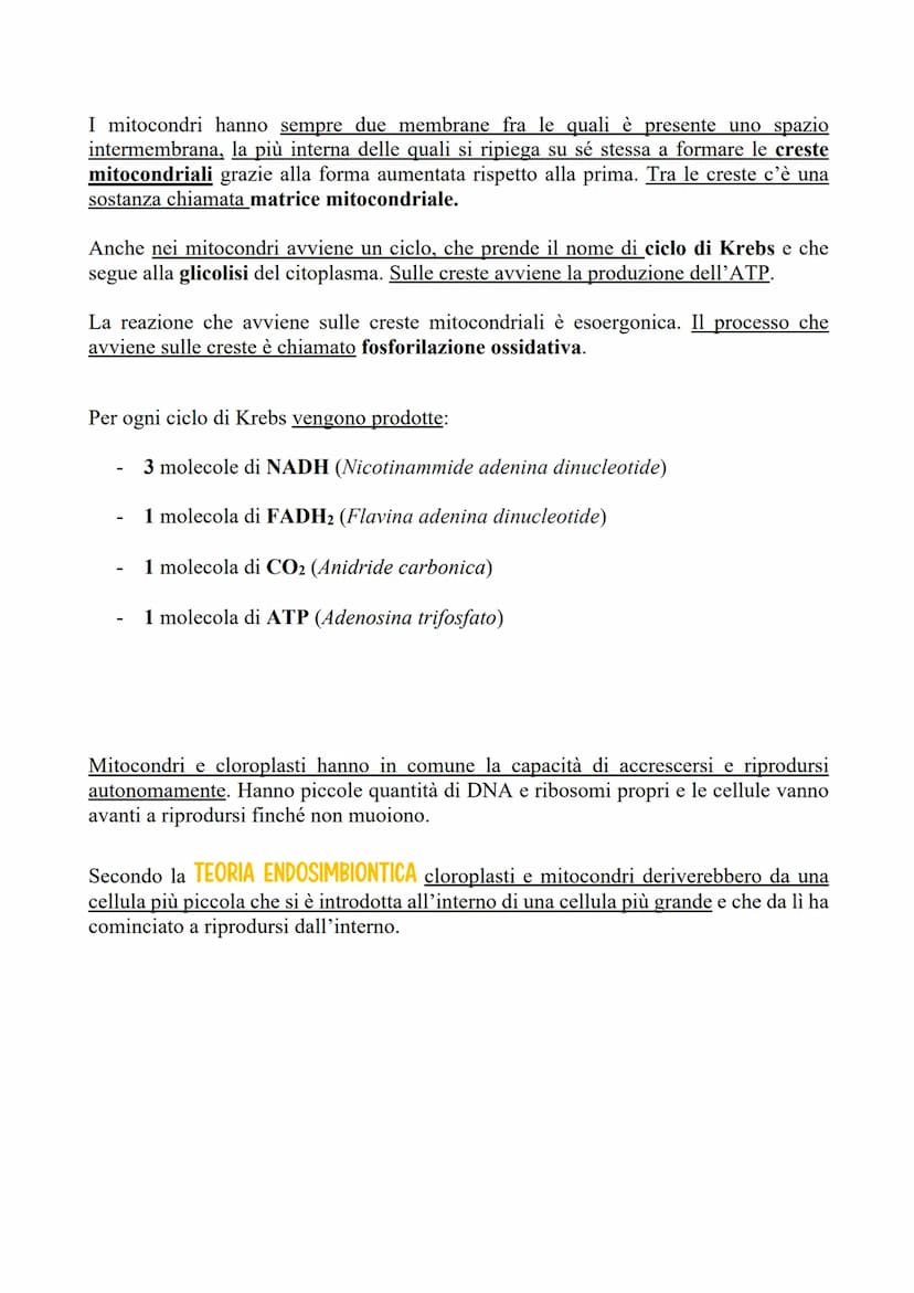MITOCONDRI E CLOROPLASTI
PREMESSA: REAZIONE ENDOERGONICA ED ESOERGONICA
Una reazione endoergonica è una reazione che ha bisogno di energia p