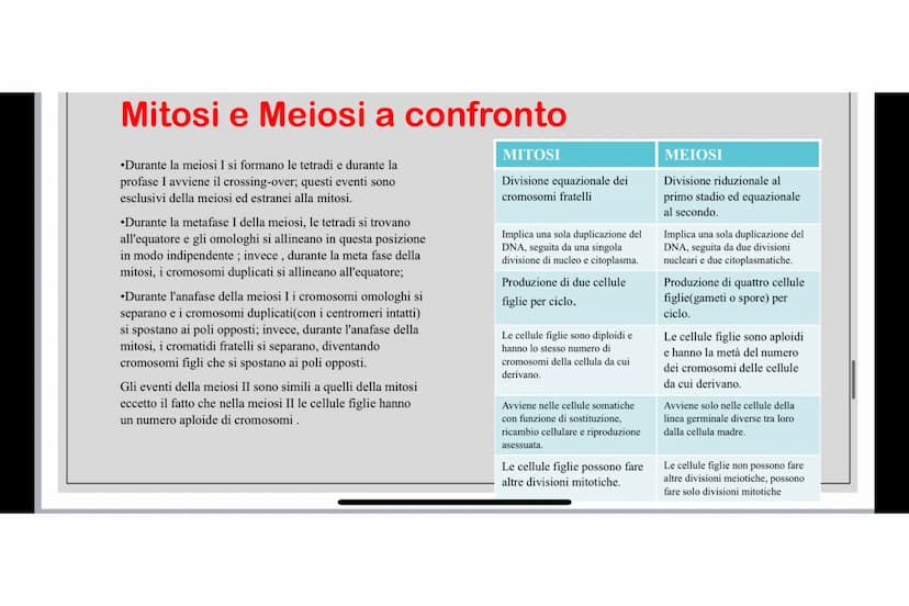 Che cos'è LA MEIOSI
La meiosi è un processo di divisione cellulare mediante il quale una cellula eucariote con
corredo cromosomico diploide 
