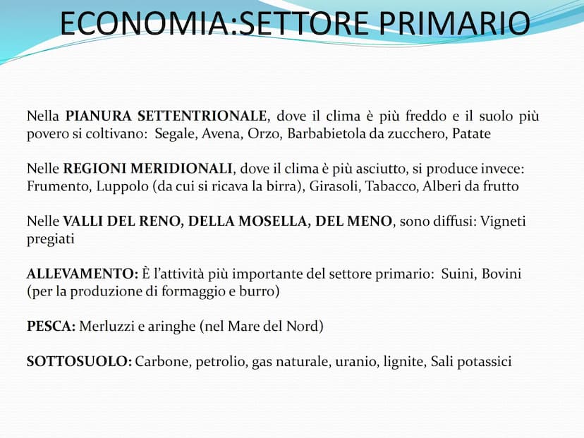 LA GERMANIA Mare del
Nord
Paesi
Bassi
Belgio
Germania
Danimarca
Francia
CONFINI E TERRITORIO
Amburgo
Berlino
Germania
Lussemburgo
Svizzera
M