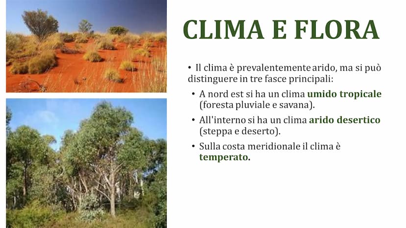 AUSTRALIA TERRITORIO
L'Australia si trova nell'emisfero
meridionale, è circondata dall'Oceano
Pacifico e dall'Oceano Indiano.
Può essere div