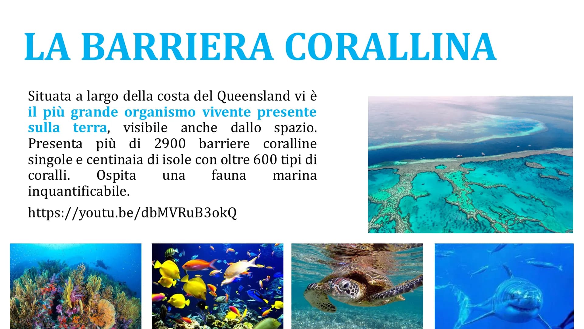AUSTRALIA TERRITORIO
L'Australia si trova nell'emisfero
meridionale, è circondata dall'Oceano
Pacifico e dall'Oceano Indiano.
Può essere div
