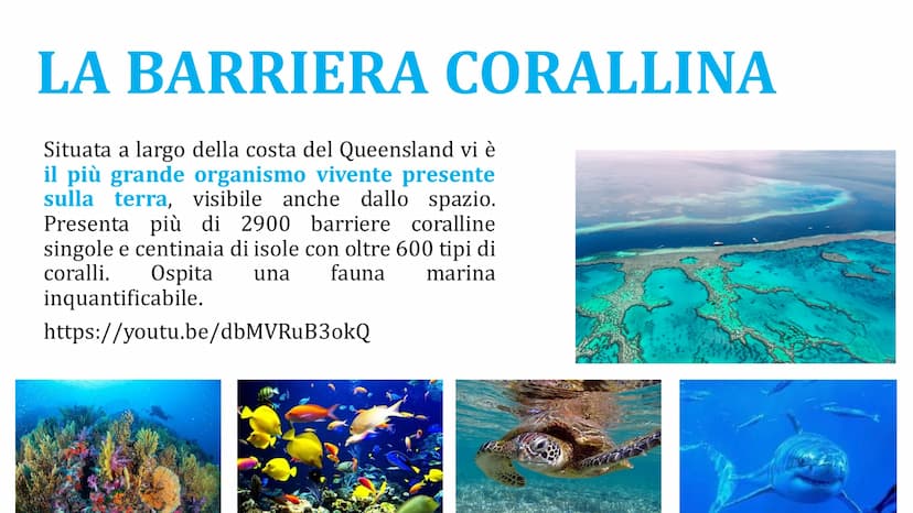 AUSTRALIA TERRITORIO
L'Australia si trova nell'emisfero
meridionale, è circondata dall'Oceano
Pacifico e dall'Oceano Indiano.
Può essere div