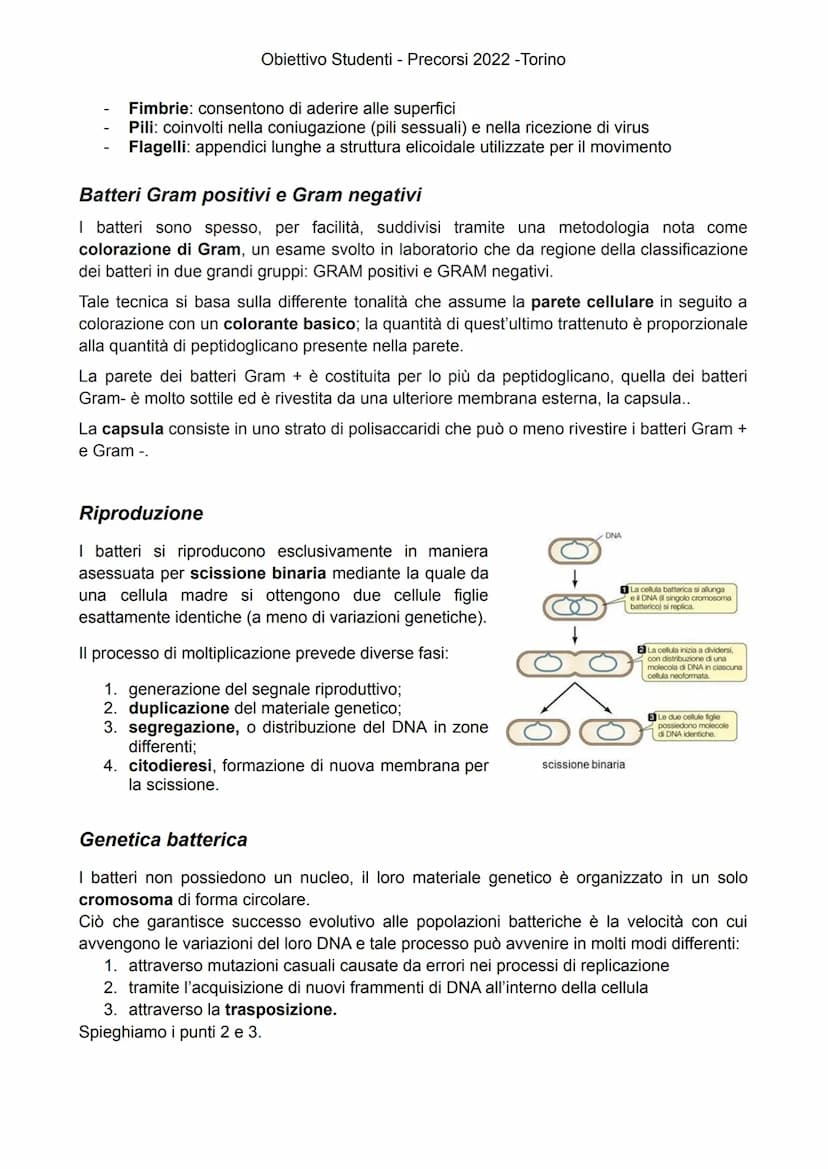 
<p>Gli esseri viventi attuali sono suddivisi in due Domini: Eukaryota e Prokaryota. Il Domini Prokaryota include i due regni Archaea e Bact