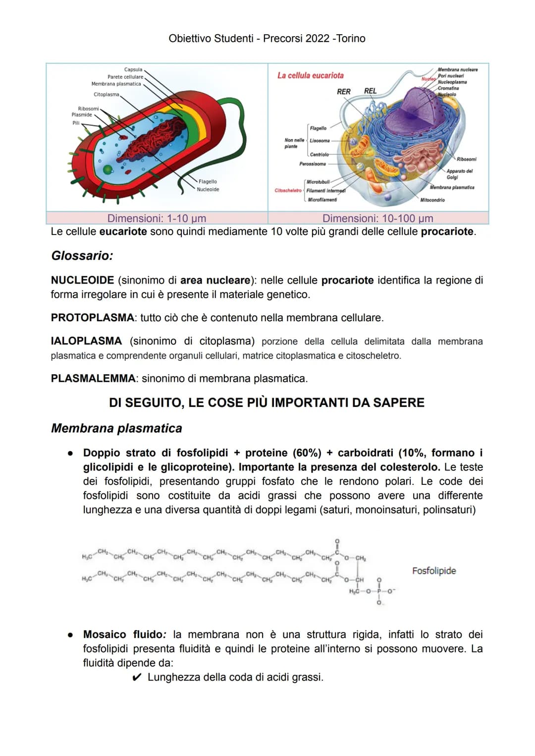 
<p>Gli esseri viventi attuali sono suddivisi in due Domini: Eukaryota e Prokaryota. Il Domini Prokaryota include i due regni Archaea e Bact