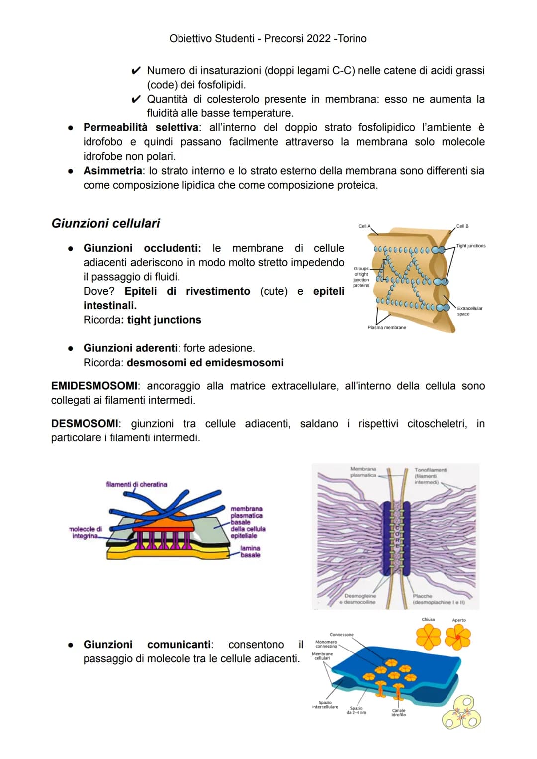 
<p>Gli esseri viventi attuali sono suddivisi in due Domini: Eukaryota e Prokaryota. Il Domini Prokaryota include i due regni Archaea e Bact