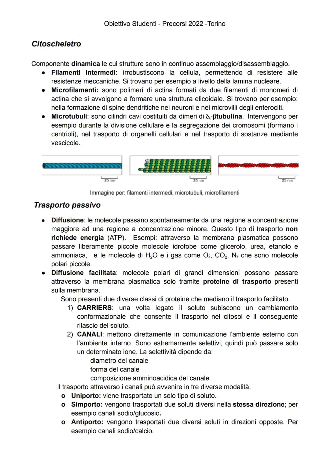 
<p>Gli esseri viventi attuali sono suddivisi in due Domini: Eukaryota e Prokaryota. Il Domini Prokaryota include i due regni Archaea e Bact