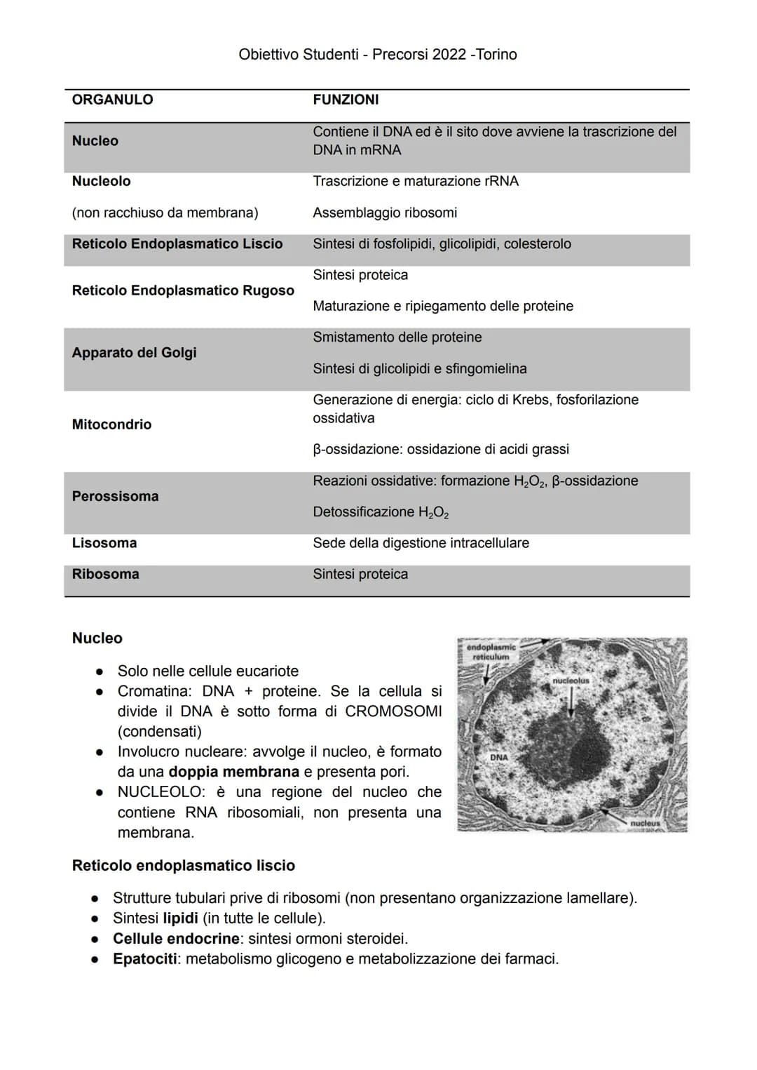 
<p>Gli esseri viventi attuali sono suddivisi in due Domini: Eukaryota e Prokaryota. Il Domini Prokaryota include i due regni Archaea e Bact