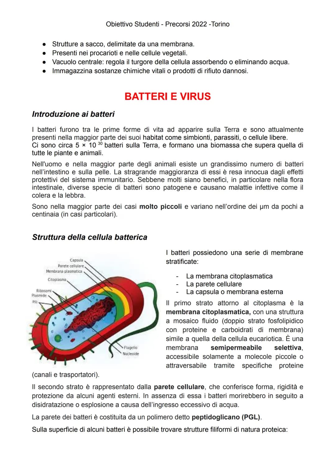 
<p>Gli esseri viventi attuali sono suddivisi in due Domini: Eukaryota e Prokaryota. Il Domini Prokaryota include i due regni Archaea e Bact