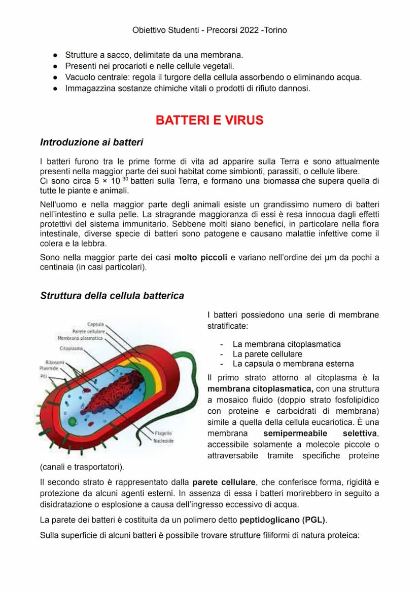 
<p>Gli esseri viventi attuali sono suddivisi in due Domini: Eukaryota e Prokaryota. Il Domini Prokaryota include i due regni Archaea e Bact
