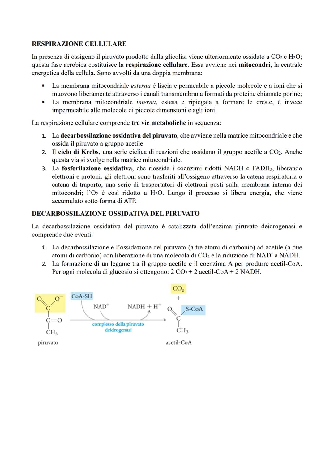 IL METABOLISMO ENERGETICO
Il metabolismo energetico (trasformazioni energetiche) è un'attività cellulare coordinata a cui
partecipano milion