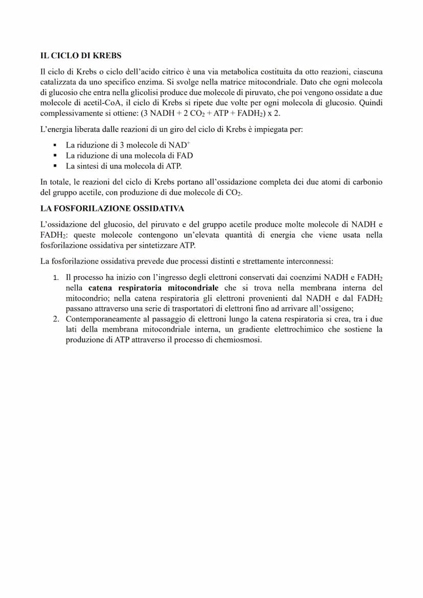 IL METABOLISMO ENERGETICO
Il metabolismo energetico (trasformazioni energetiche) è un'attività cellulare coordinata a cui
partecipano milion