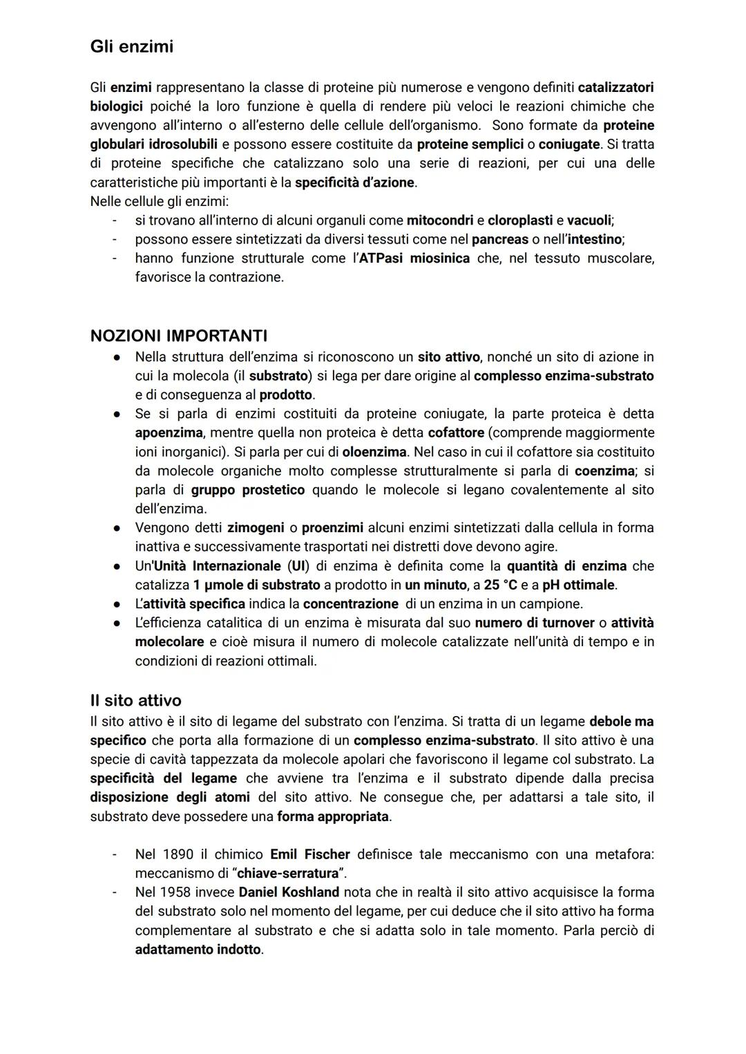 # Gli enzimi

Gli enzimi rappresentano la classe di proteine più numerose e vengono definiti catalizzatori
biologici poiché la loro funzione
