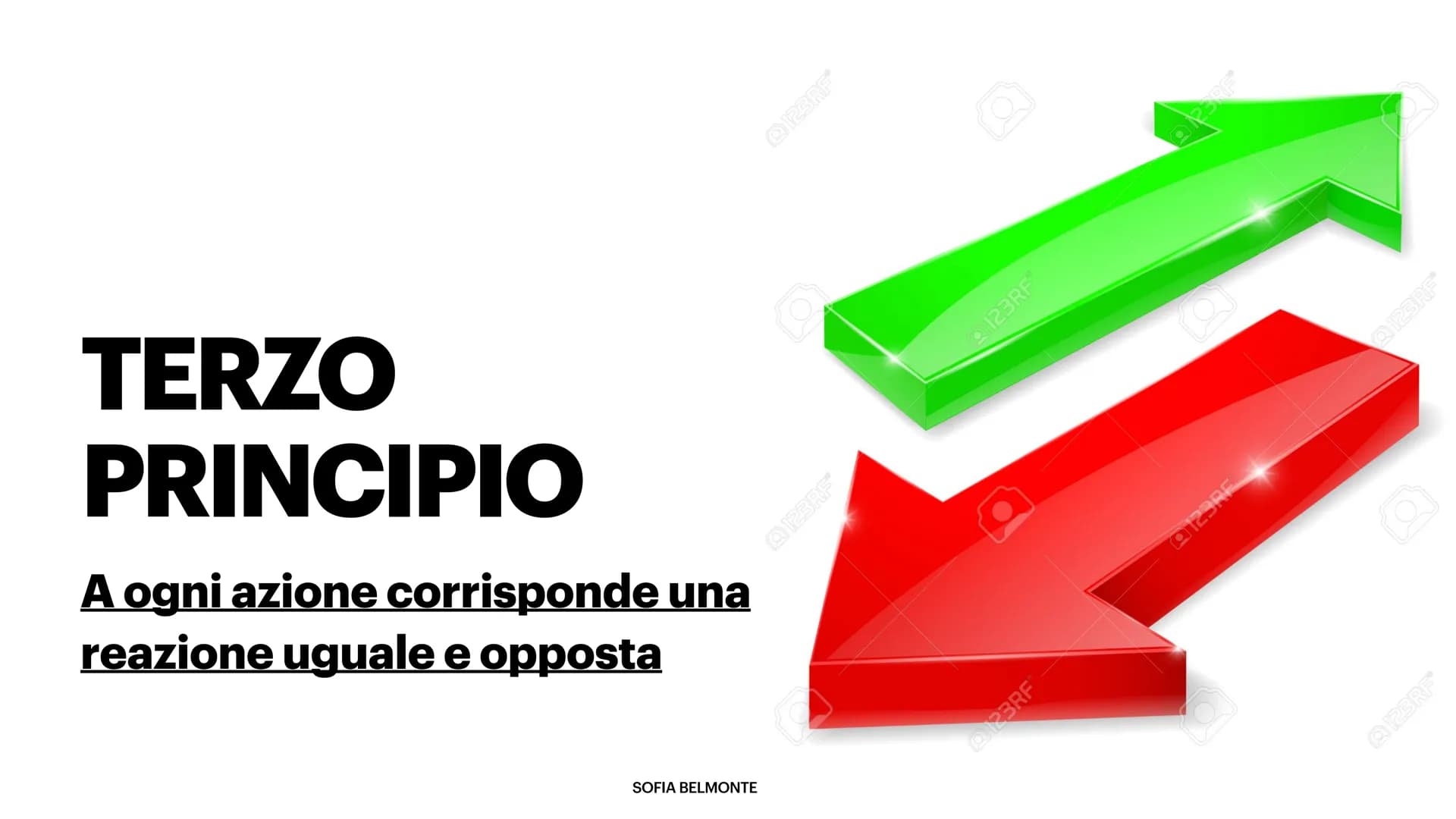  I PRINCIPI DELLA DINAMICA
E LE LORO APPLICAZIONI
Arianna Di Lecce, Greta Cipollone, Ginevra Marino, Sofia Belmonte, Matteo Arconi PRIMO PRI