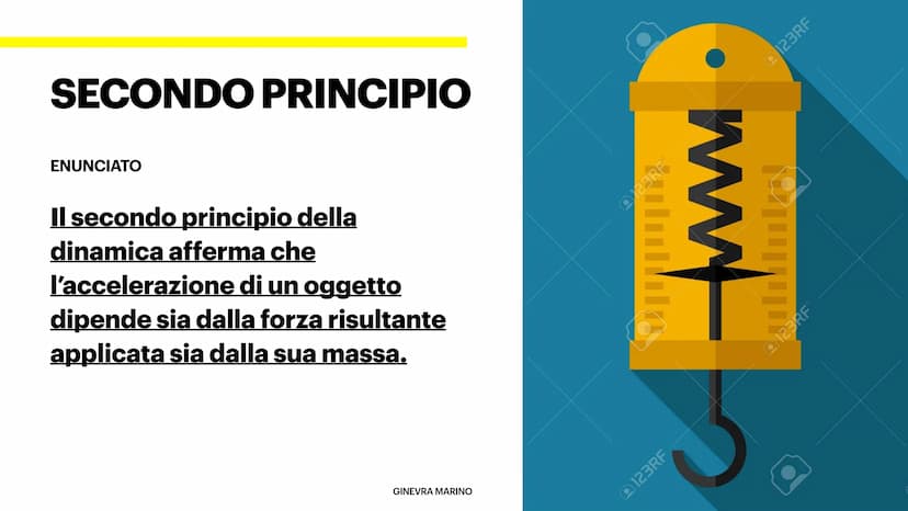  I PRINCIPI DELLA DINAMICA
E LE LORO APPLICAZIONI
Arianna Di Lecce, Greta Cipollone, Ginevra Marino, Sofia Belmonte, Matteo Arconi PRIMO PRI