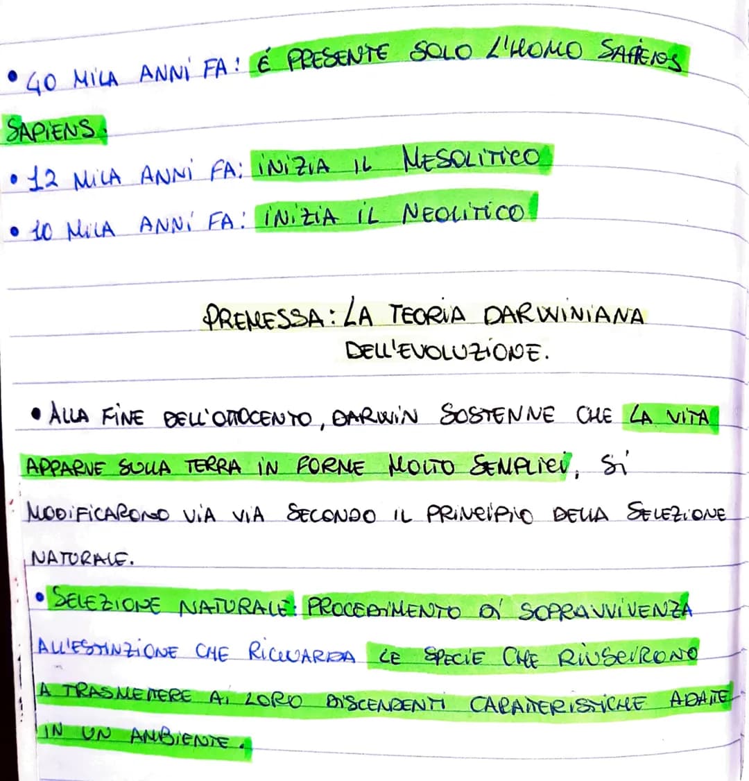 • LA PREISTORIA
ایان
TESTIMONIANZE
•È IL PERIODO
L'ORICINE E 20 SVILUPPO DEL PRINI UOMINT.
È
● DURATO
ON ANNY.
• DELLA PREISTORIA CONSERVIAN