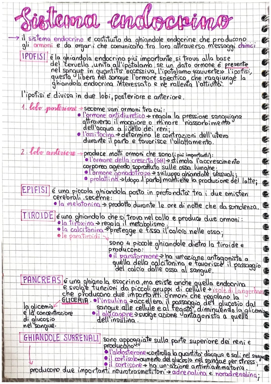 Sistema endocrino
→il sistema endocrino e costituito da ghiandole endocrine che producono
gli ormoni e da orgari che comunicano tra loro att