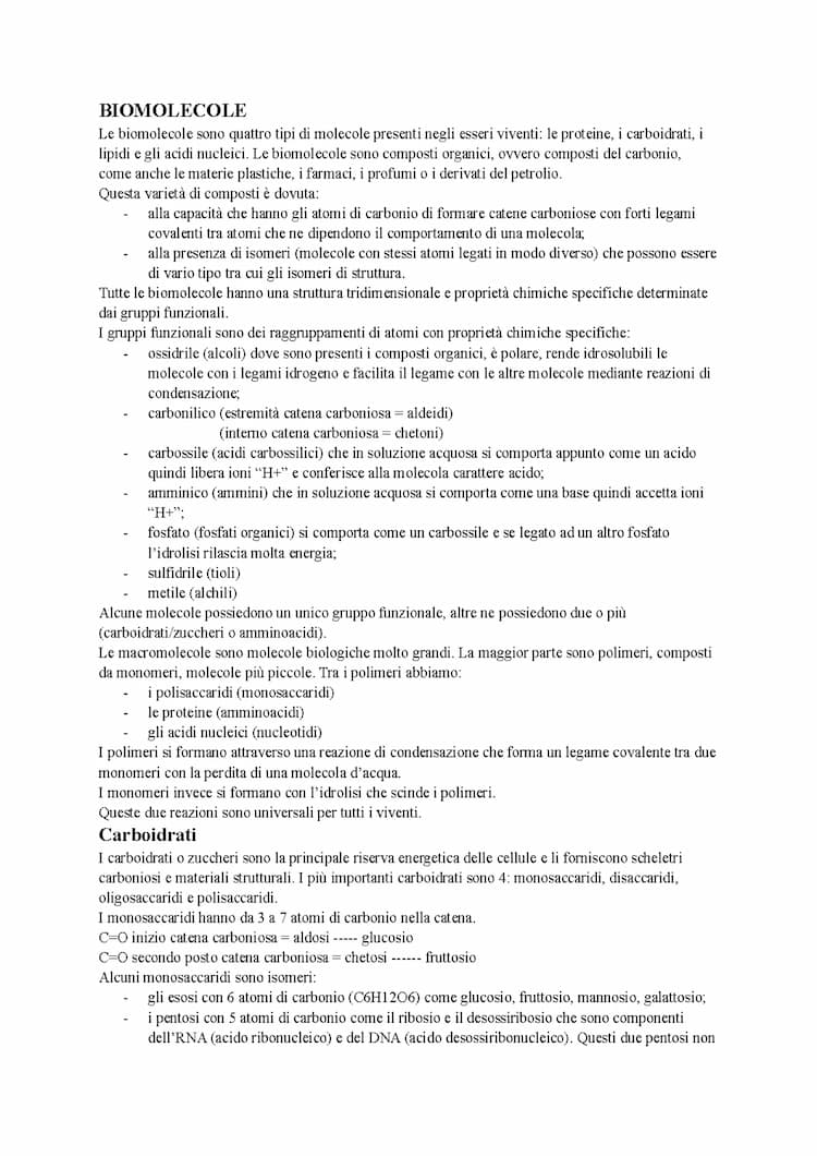 Know Biomolecole - Biologia 2 Zanichelli thumbnail