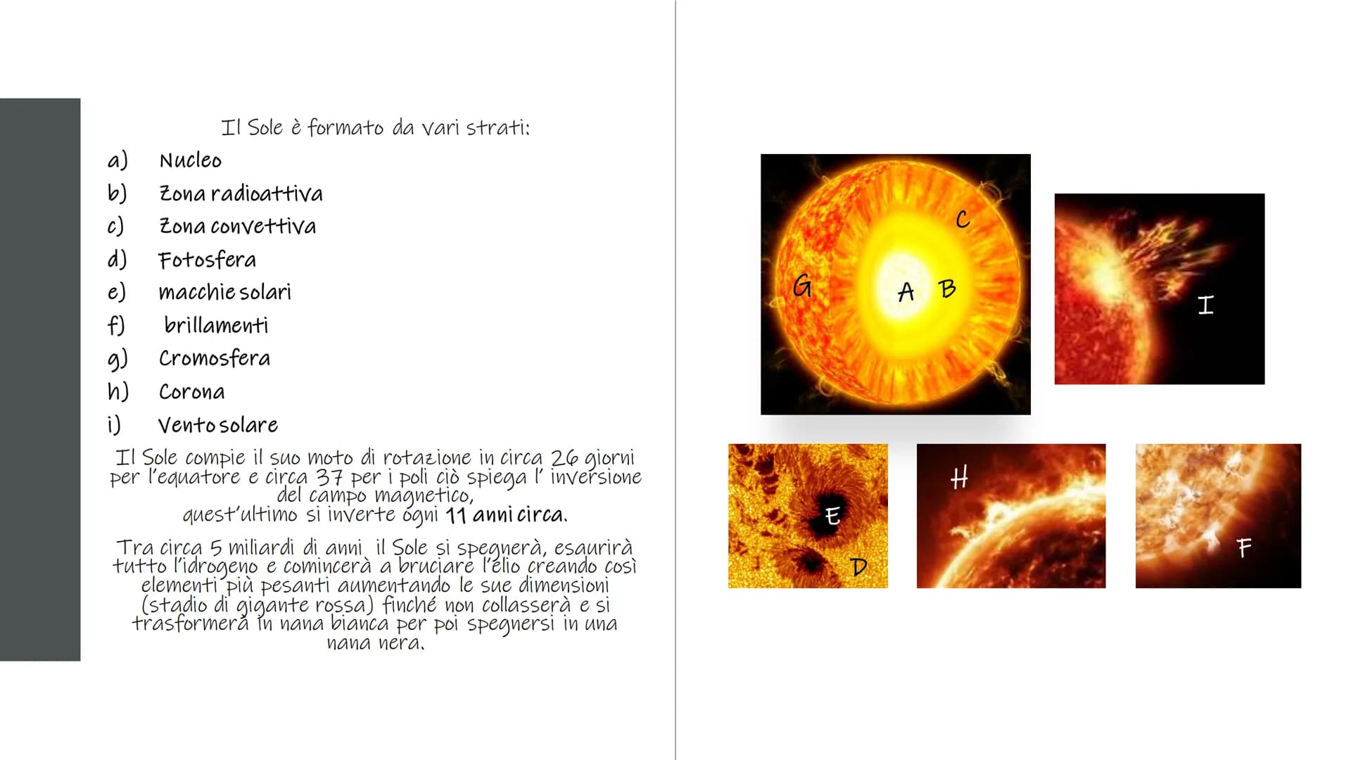 
<p>Il sistema solare è composto da diversi elementi, tra cui:</p>
<h2 id="ilsoleeilsistemasolare">Il Sole e il Sistema Solare</h2>
<p>Il si
