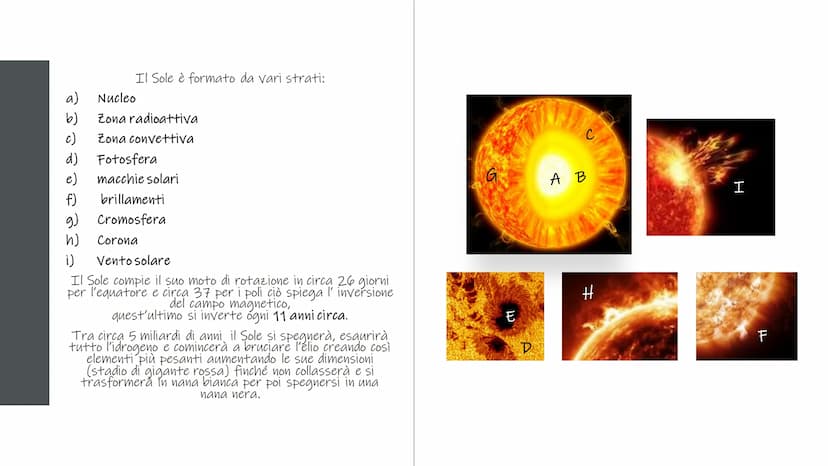 
<p>Il sistema solare è composto da diversi elementi, tra cui:</p>
<h2 id="ilsoleeilsistemasolare">Il Sole e il Sistema Solare</h2>
<p>Il si