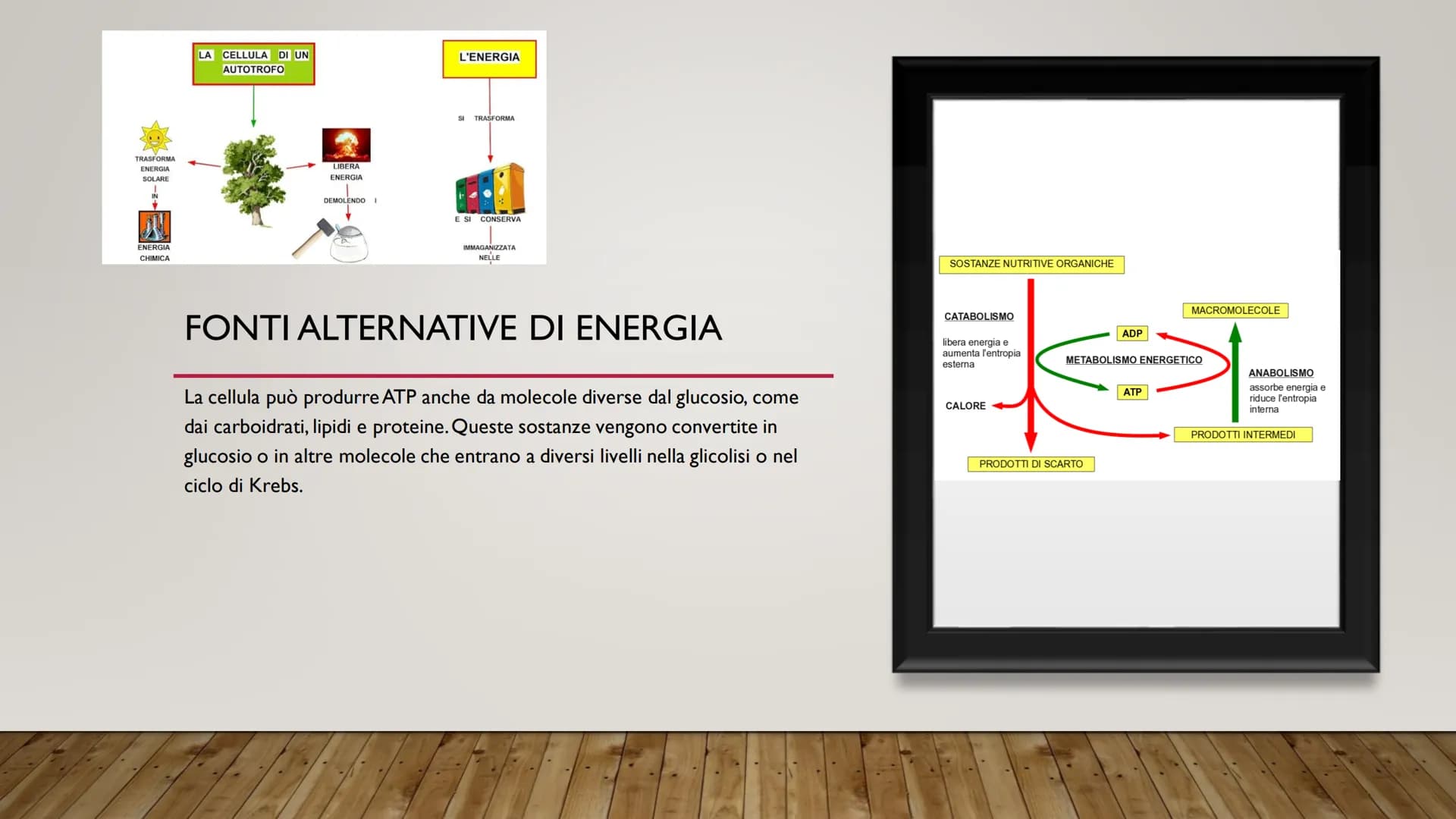 ENERGIA CELLULARE
IL METABOLISMO CELLULARE È L'INSIEME DELLE REAZIONI DI TRASFORMAZIONE
DELLA MATERIA E DELL'ENERGIA CHE SI SVOLGONO ALL'INT