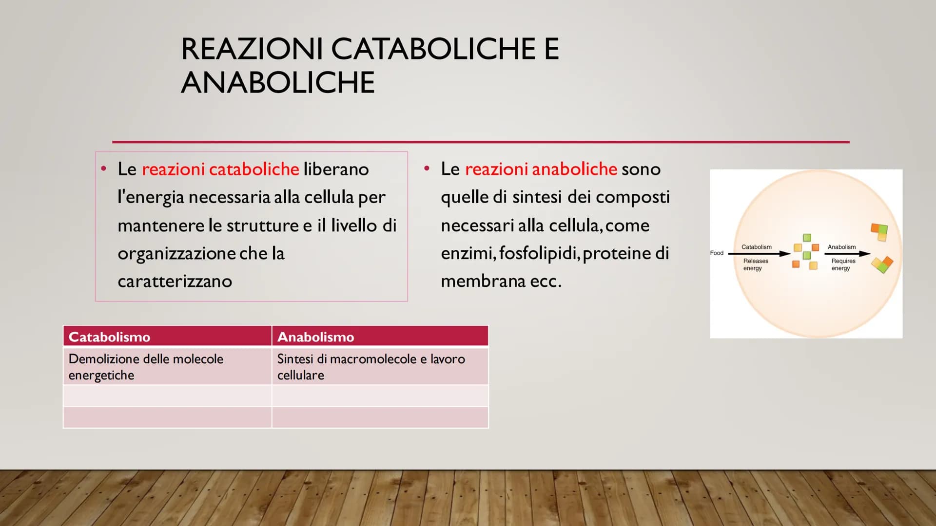 ENERGIA CELLULARE
IL METABOLISMO CELLULARE È L'INSIEME DELLE REAZIONI DI TRASFORMAZIONE
DELLA MATERIA E DELL'ENERGIA CHE SI SVOLGONO ALL'INT
