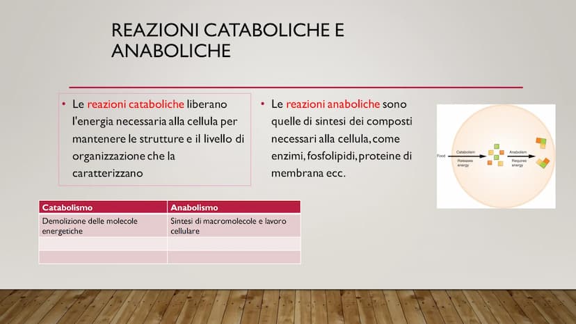 ENERGIA CELLULARE
IL METABOLISMO CELLULARE È L'INSIEME DELLE REAZIONI DI TRASFORMAZIONE
DELLA MATERIA E DELL'ENERGIA CHE SI SVOLGONO ALL'INT