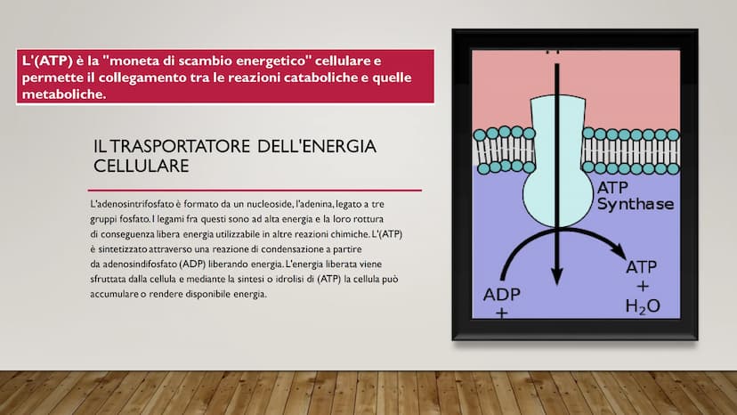 ENERGIA CELLULARE
IL METABOLISMO CELLULARE È L'INSIEME DELLE REAZIONI DI TRASFORMAZIONE
DELLA MATERIA E DELL'ENERGIA CHE SI SVOLGONO ALL'INT