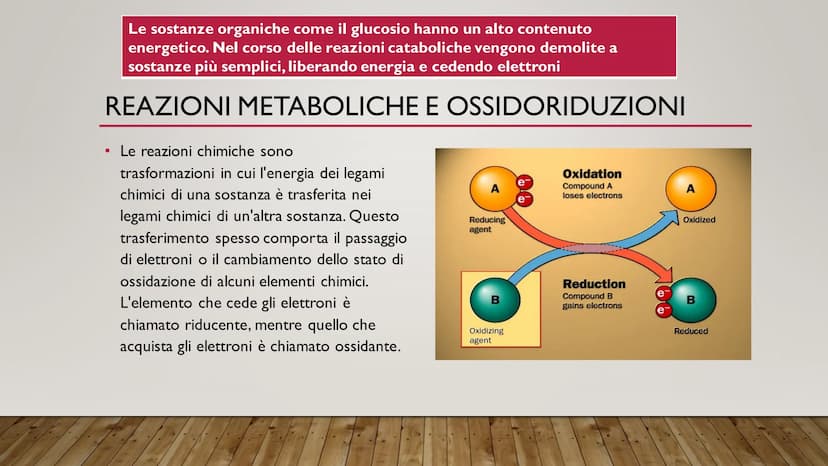 ENERGIA CELLULARE
IL METABOLISMO CELLULARE È L'INSIEME DELLE REAZIONI DI TRASFORMAZIONE
DELLA MATERIA E DELL'ENERGIA CHE SI SVOLGONO ALL'INT