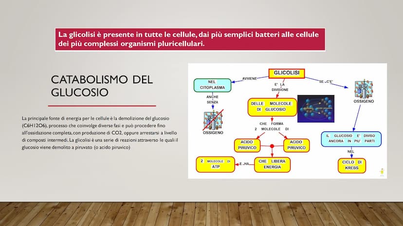 ENERGIA CELLULARE
IL METABOLISMO CELLULARE È L'INSIEME DELLE REAZIONI DI TRASFORMAZIONE
DELLA MATERIA E DELL'ENERGIA CHE SI SVOLGONO ALL'INT