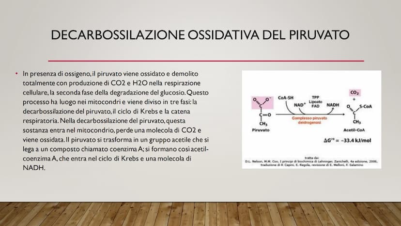 ENERGIA CELLULARE
IL METABOLISMO CELLULARE È L'INSIEME DELLE REAZIONI DI TRASFORMAZIONE
DELLA MATERIA E DELL'ENERGIA CHE SI SVOLGONO ALL'INT