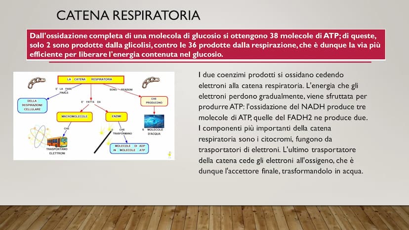 ENERGIA CELLULARE
IL METABOLISMO CELLULARE È L'INSIEME DELLE REAZIONI DI TRASFORMAZIONE
DELLA MATERIA E DELL'ENERGIA CHE SI SVOLGONO ALL'INT
