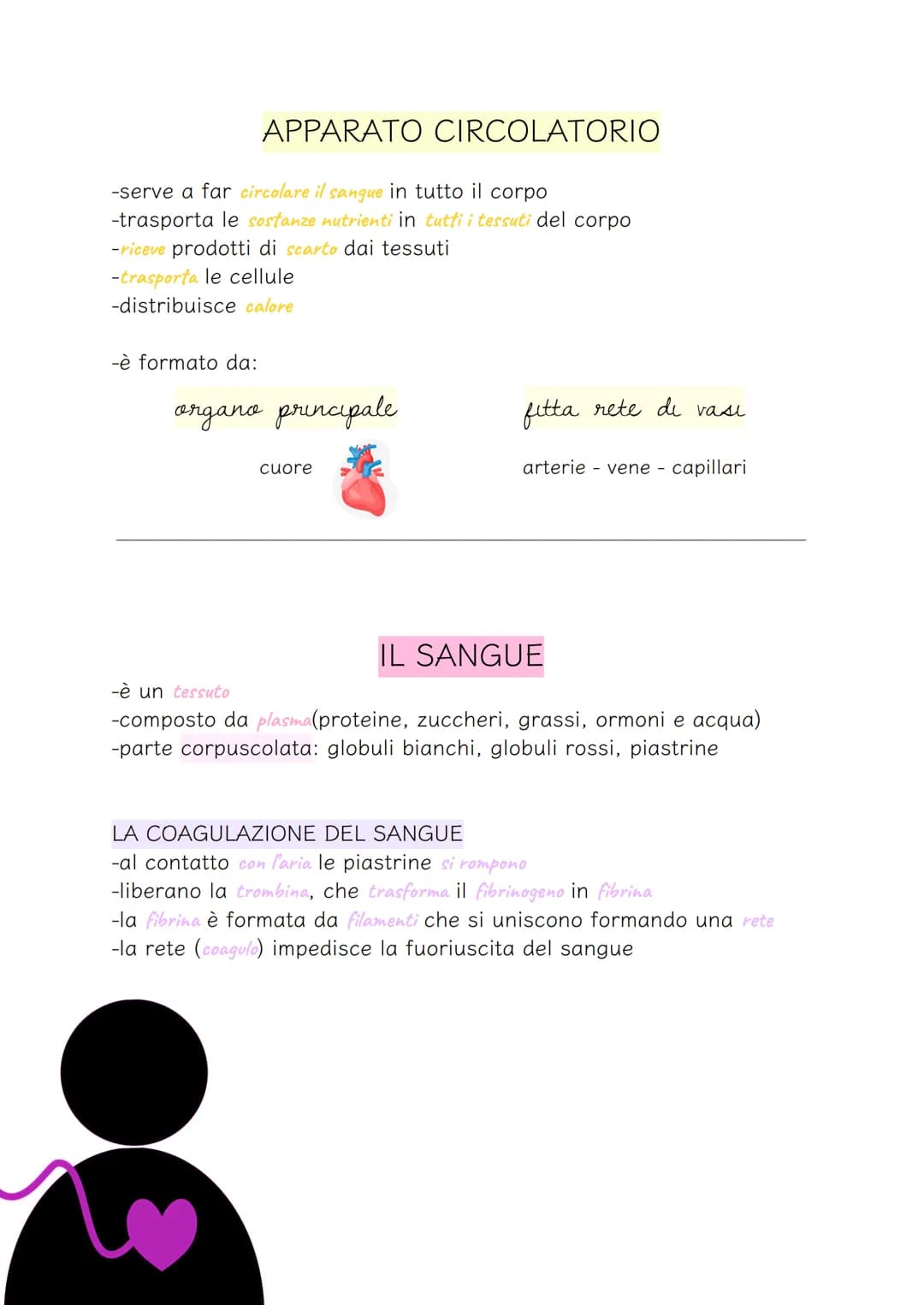 APPARATO CIRCOLATORIO
-serve a far circolare il sangue in tutto il corpo
-trasporta le sostanze nutrienti in tutti i tessuti del corpo
-rice