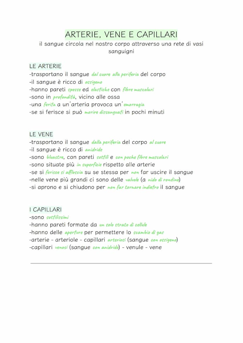 APPARATO CIRCOLATORIO
-serve a far circolare il sangue in tutto il corpo
-trasporta le sostanze nutrienti in tutti i tessuti del corpo
-rice