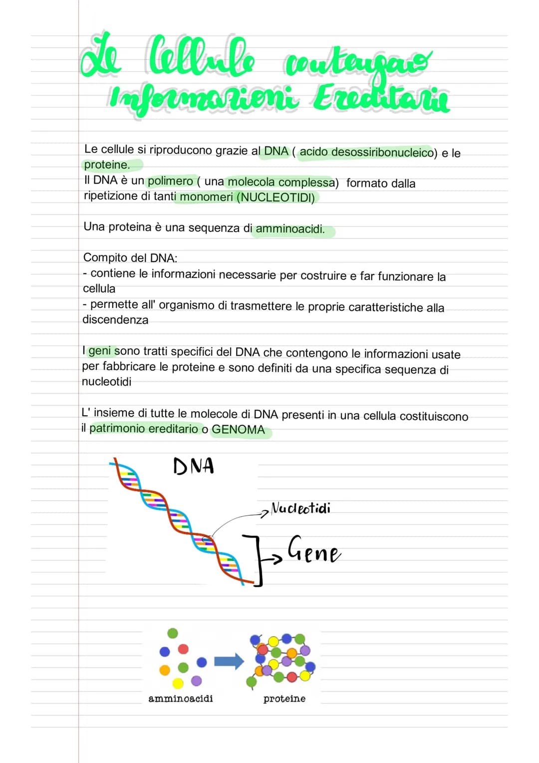 
<p>In questo articolo verrà fornito un riassunto sull'evoluzione dei viventi, spiegando le tappe fondamentali dell'evoluzione della vita su