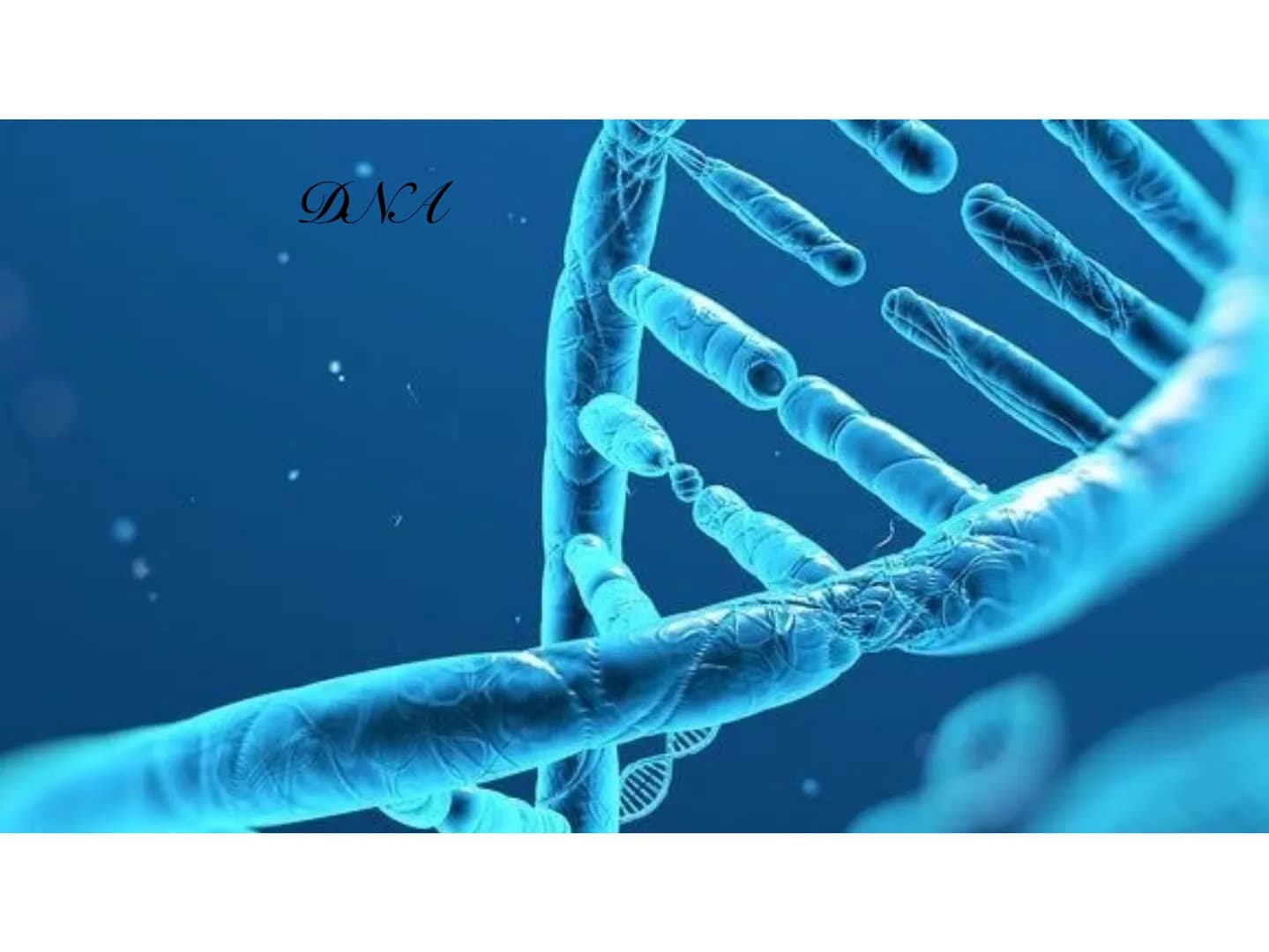 INA
O
10 Il DNA è una molecola che
si trova all'interno di ogni
cellula e contiene tutte le
informazioni sul nostro
organismo. Il DNA è dist