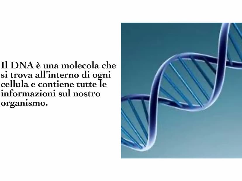 INA
O
10 Il DNA è una molecola che
si trova all'interno di ogni
cellula e contiene tutte le
informazioni sul nostro
organismo. Il DNA è dist