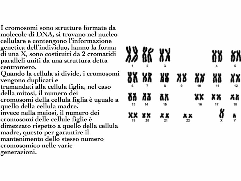 INA
O
10 Il DNA è una molecola che
si trova all'interno di ogni
cellula e contiene tutte le
informazioni sul nostro
organismo. Il DNA è dist